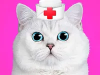 https://childgame.shop//game/cat-pet-doctor-dentist