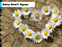 https://childgame.shop//game/daisy-heart-jigsaw