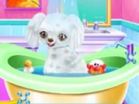 https://childgame.shop//game/my-new-poodle-friend-pet-care-game