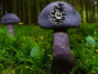 https://childgame.shop//game/mushroom-forest-adventure