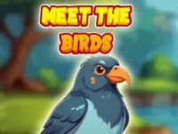 image Meet The Birds
