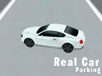 https://childgame.shop//game/real-car-parking-3d